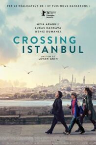 Crossing Istanbul