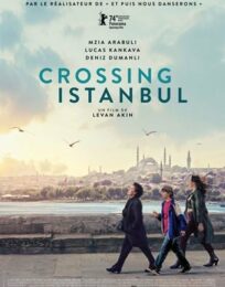 Crossing Istanbul