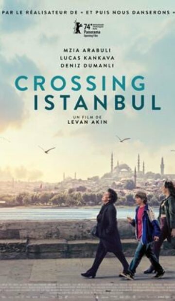 Crossing Istanbul