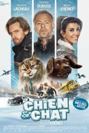 Chien et chat