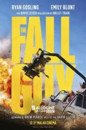 The Fall Guy