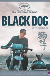 Black Dog