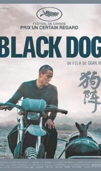 Black Dog