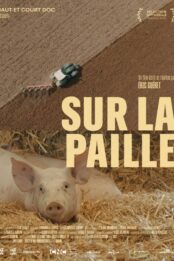 Sur la paille
