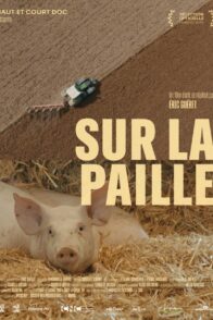 Sur la paille