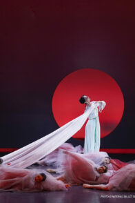 Le Rêve dans le Pavillon Rouge [Ballet au cinéma]