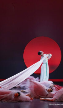Le Rêve dans le Pavillon Rouge [Ballet au cinéma]
