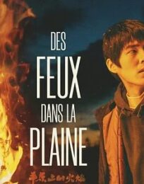 Des Feux dans la Plaine