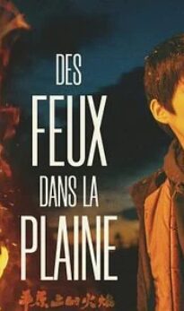 Des Feux dans la Plaine