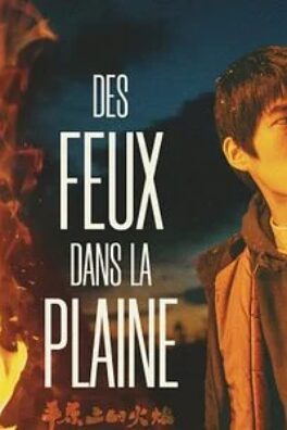 Des Feux dans la Plaine