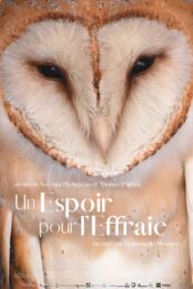 Un espoir pour l&rsquo;effraie