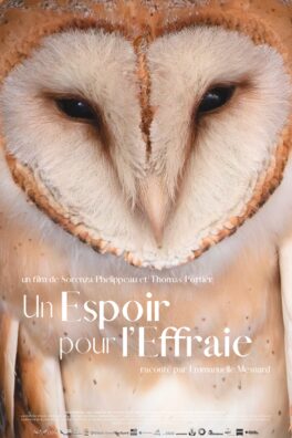 Un espoir pour l&rsquo;effraie