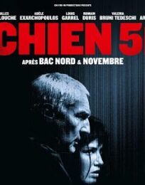 Chien 51