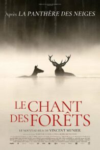 Le Chant des forêt