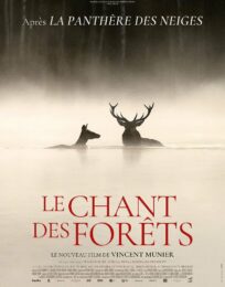 Le Chant des forêt