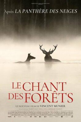 Le Chant des forêt [les docs du mois]