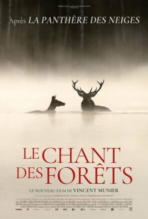 Le Chant des forêt