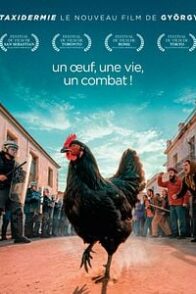 Cocotte