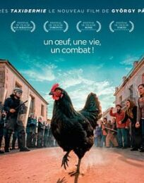 Cocotte