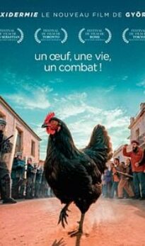 Cocotte