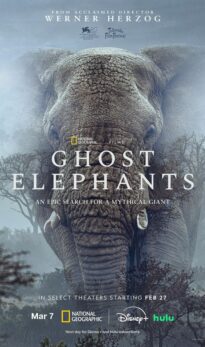 Ghost Elephants