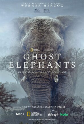 Affiche GHOST ELEPHANTS
