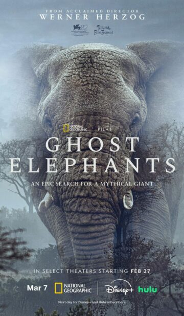Ghost Elephants