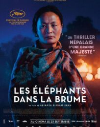 Les Éléphants dans la brume