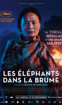 Les Éléphants dans la brume