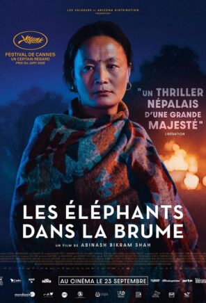 Les Éléphants dans la brume