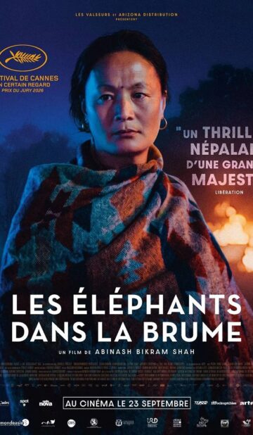 Les Éléphants dans la brume