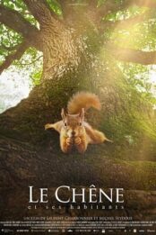 Le chêne [cinénature 2026]