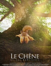 Le chêne [cinénature 2026]