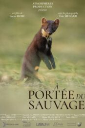 À PORTÉE DU SAUVAGE [cinénature 2026]