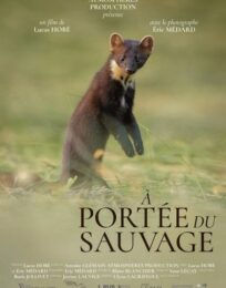 À PORTÉE DU SAUVAGE [cinénature 2026]