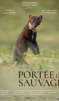 À PORTÉE DU SAUVAGE [cinénature 2026]