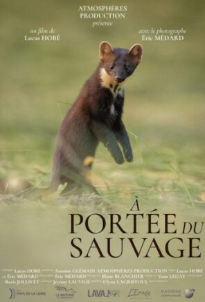 À PORTÉE DU SAUVAGE [cinénature 2026]