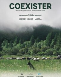 Coexister, récit d’une relation tendue entre humains et loups [cinénature 2026]