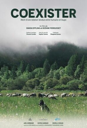 Coexister, récit d’une relation tendue entre humains et loups [cinénature 2026]