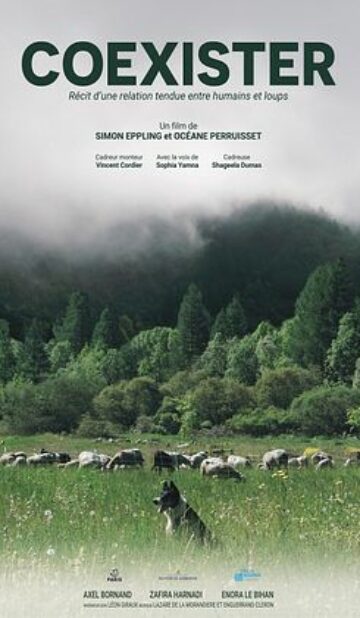 Coexister, récit d’une relation tendue entre humains et loups [cinénature 2026]