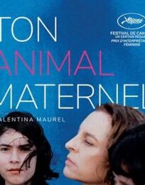 Ton animal maternel